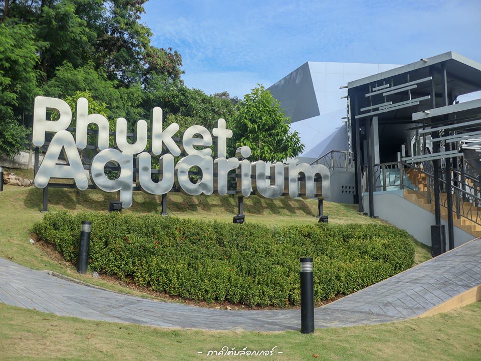  14.-Phuket-Aquarium-พิพิธภัณฑ์สัตว์น้ำภูเก็ต-ภายในมีพันธ์ปลาสวยงามมากมายครับ ภูเก็ต,สถานที่ท่องเที่ยว,ของกิน,จุดเช็คอิน,ที่เที่ยว,จุดถ่ายรูป
